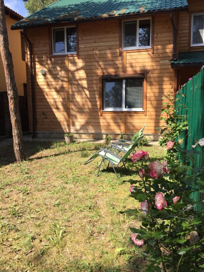 Cottage In Sosnovom Boru Koblevo Bagian luar foto