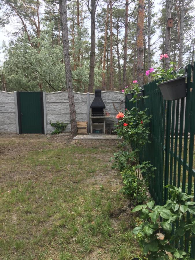 Cottage In Sosnovom Boru Koblevo Bagian luar foto